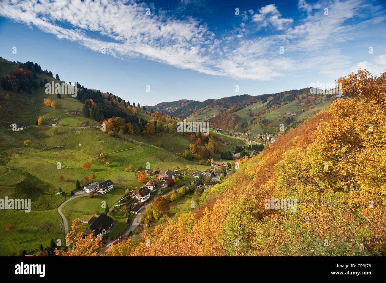 Muenstertal en automne, forêt noire, forêt noire, Bade-Wurtemberg, Allemagne, Europe Banque D'Images
