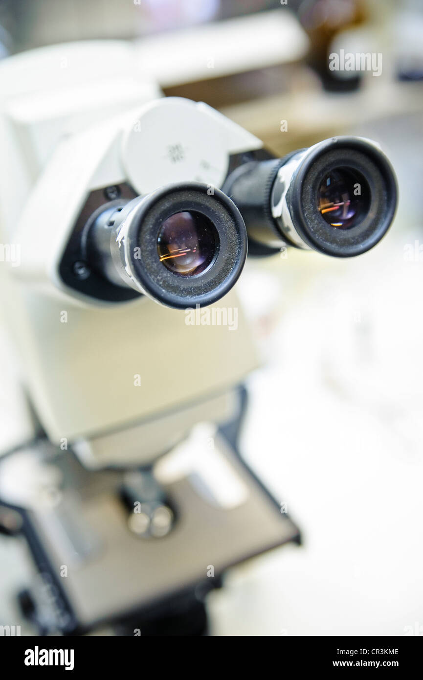 Microscope in laboratory Banque D'Images