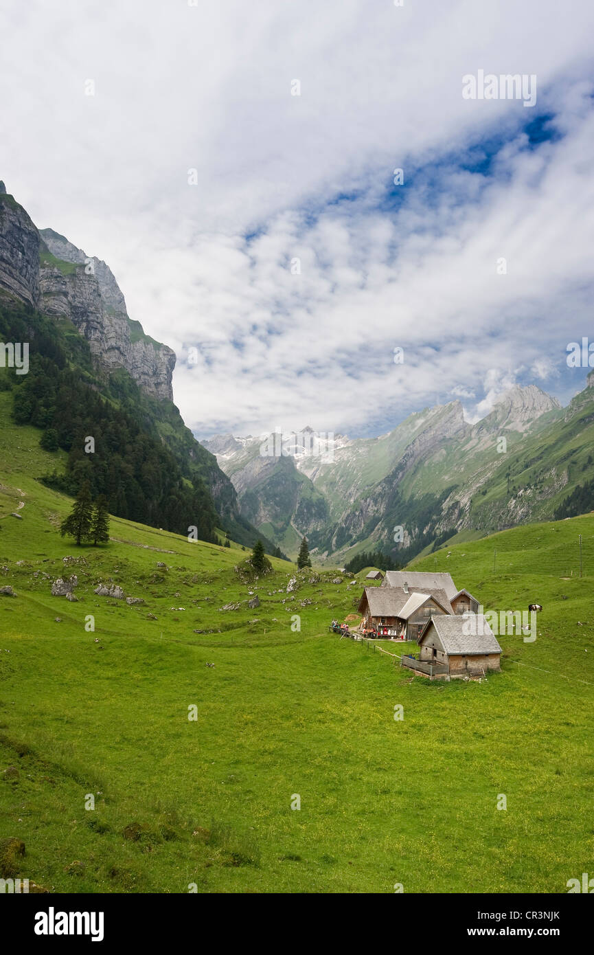 Alm, alpages à Seealpsee lake, en face de la montagne de l'Alpstein, Saentis, Appenzell, Suisse, Europe Banque D'Images