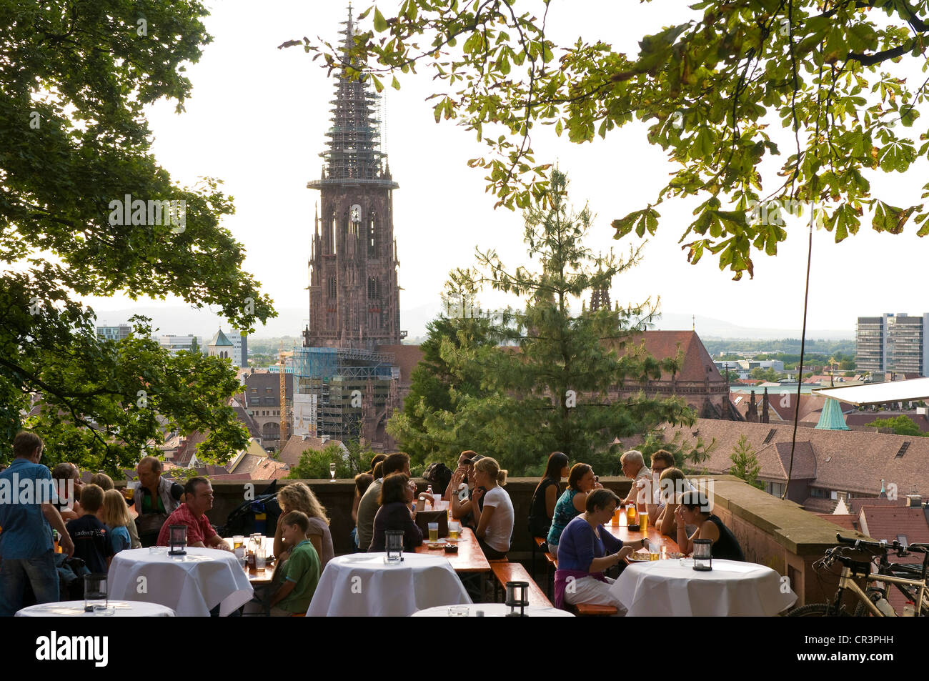 Sur la colline du Schlossberg, Freiburg im Breisgau, Bade-Wurtemberg, Allemagne, Europe Banque D'Images