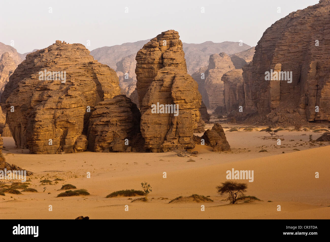 L'Algérie, Sahara près de Djanet, Tassili N'Ajjer, Massif du parc national classé au Patrimoine Mondial de l'UNESCO, une formation rocheuse de grès dans un canyon Banque D'Images