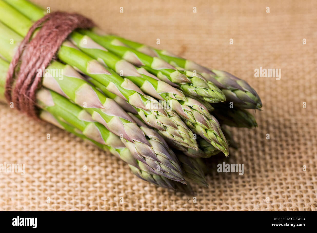 Asparagus officinalis. Un bouquet d'asperges sur un fond de toile de jute. Banque D'Images