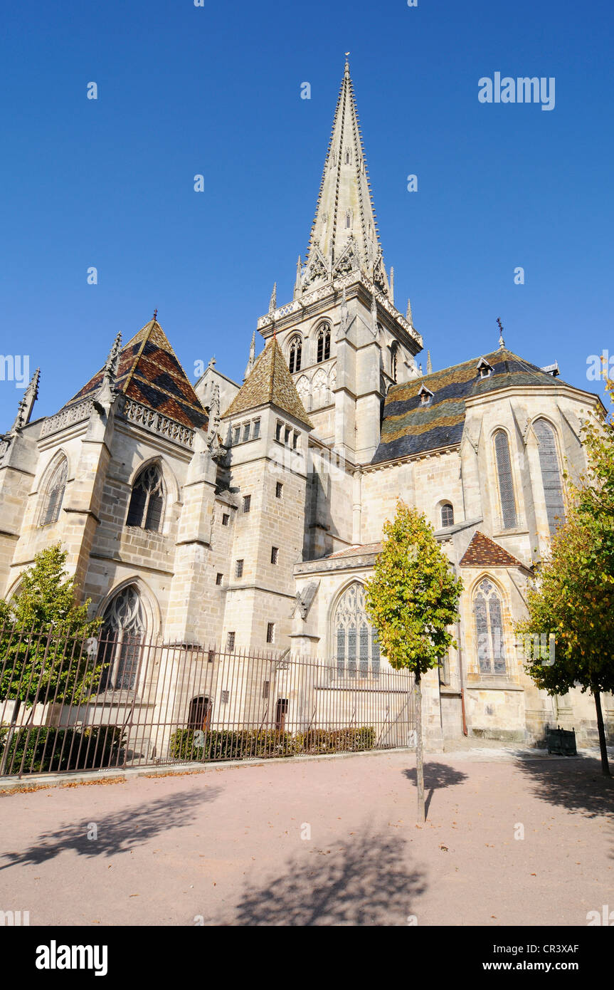 La Cathédrale Saint-Lazare, Autun, département de Saône-et-Loire, Bourgogne, France, Europe, PublicGround Banque D'Images