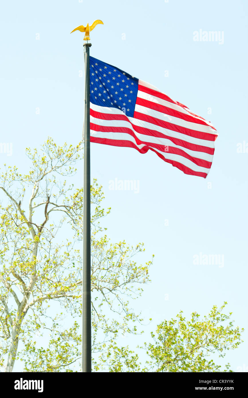 USA drapeaux dans le vent Banque D'Images