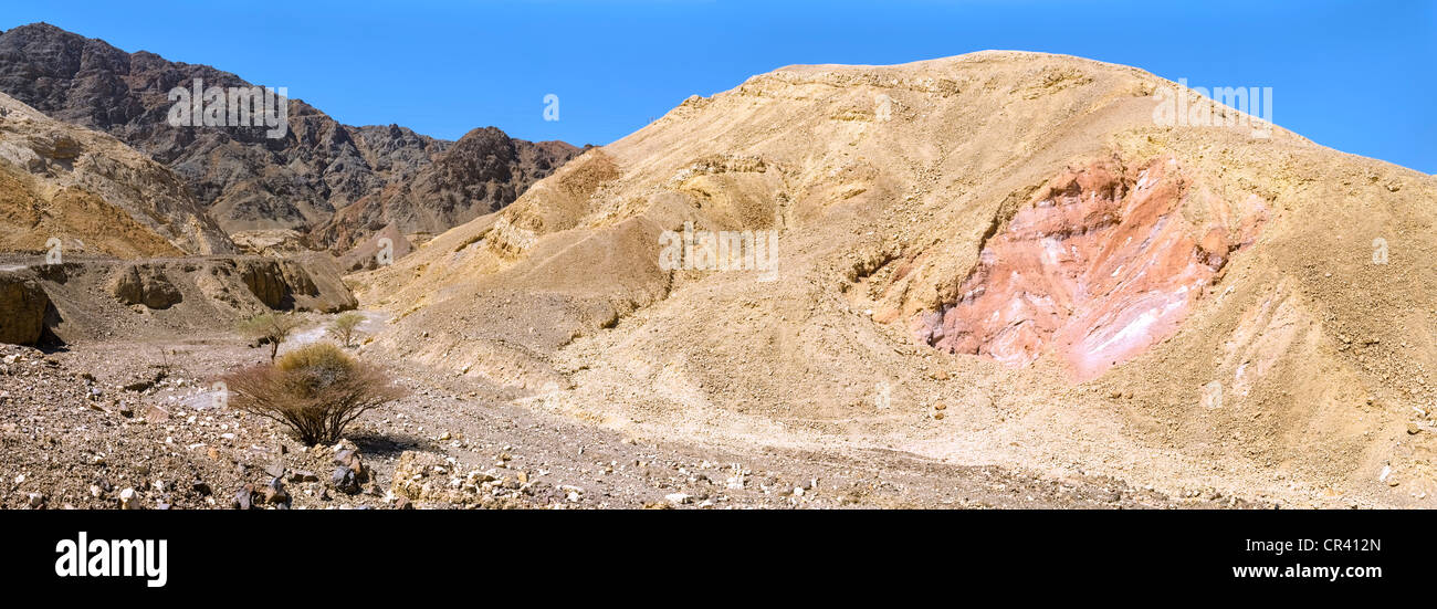 Formation de grès a révélé, 'Masiv Eilat' nature reserve, District Sud, Israël Banque D'Images