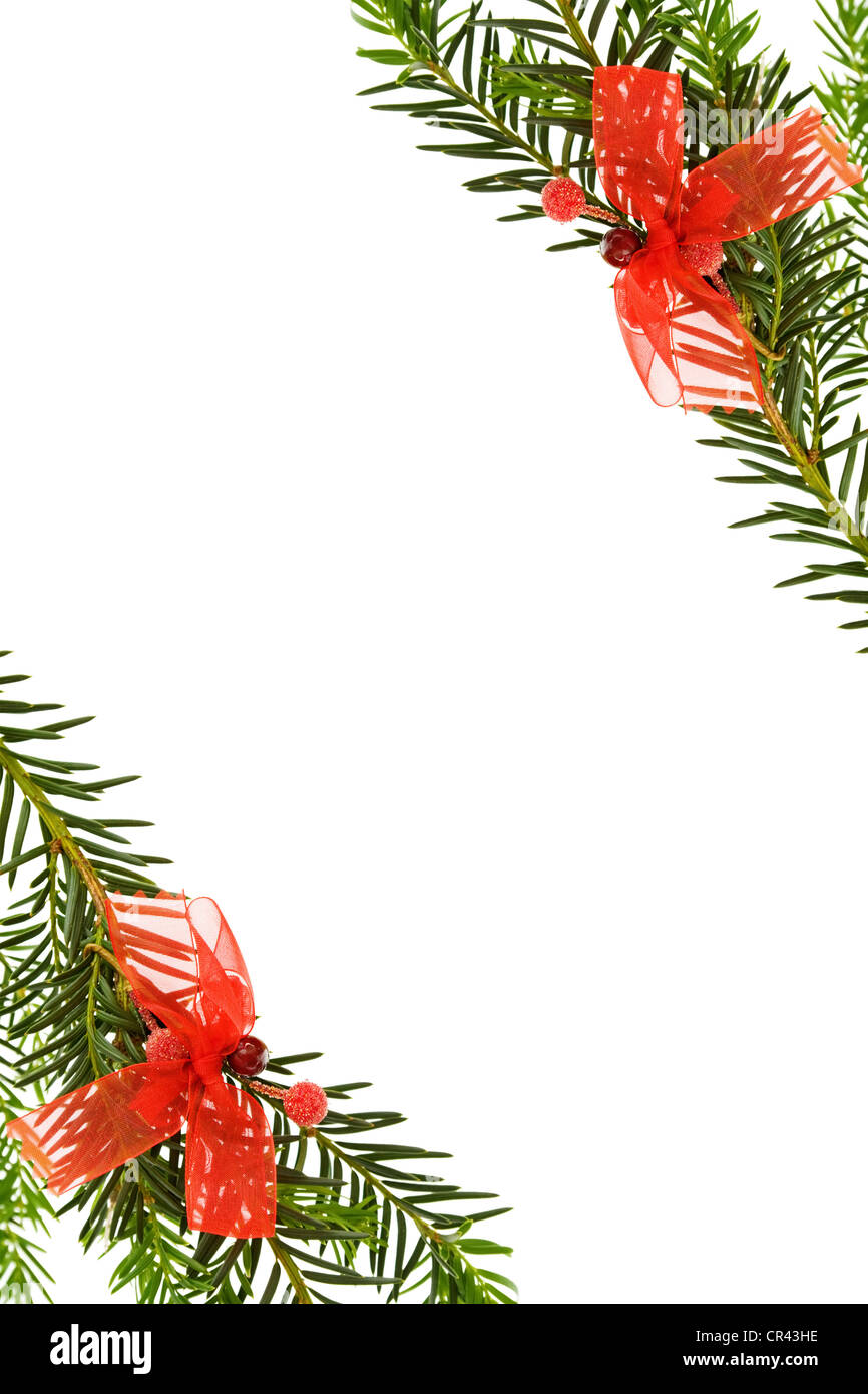 Frontière de fête de Noël - carte de voeux, avec des branches d'arbres de pin et de rubans rouges de décorations. Isolé sur fond blanc. Banque D'Images