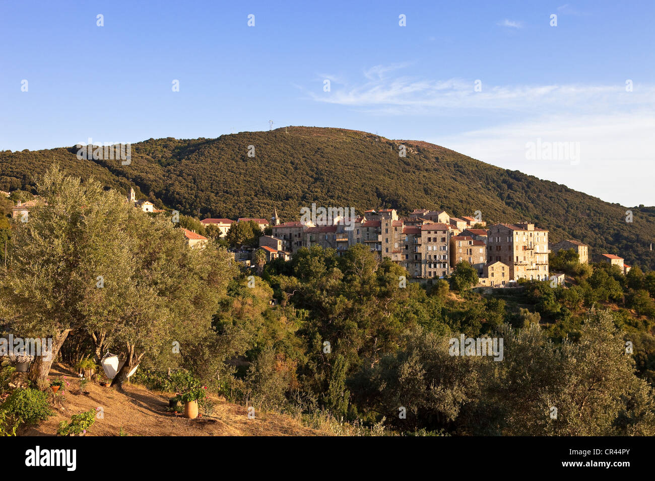 France, Corse du Sud, village de Mela Banque D'Images