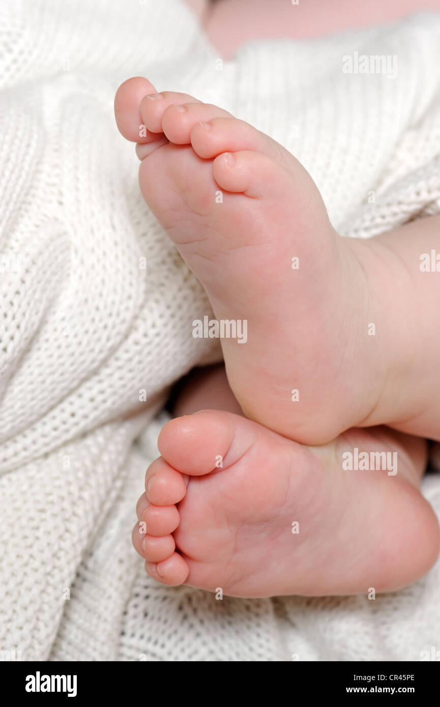 Pieds D Un Bebe 6 Mois Photo Stock Alamy