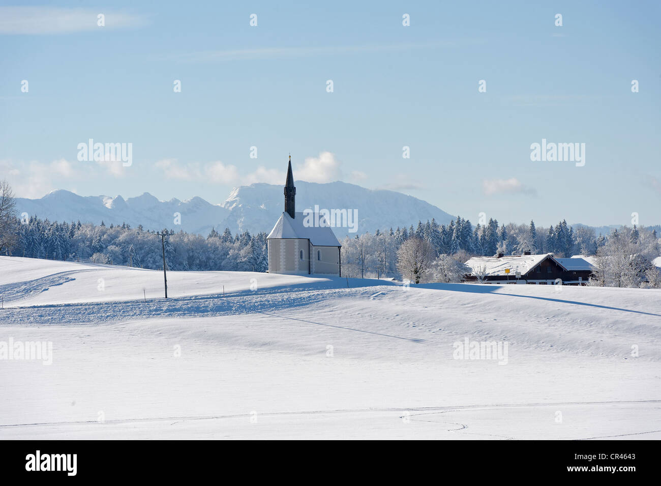 Fille de Saint Sébastien, église, Kleinhartpenning Mont Benediktenwand au dos, Holzkirchen, Haute-Bavière, Bavière Banque D'Images