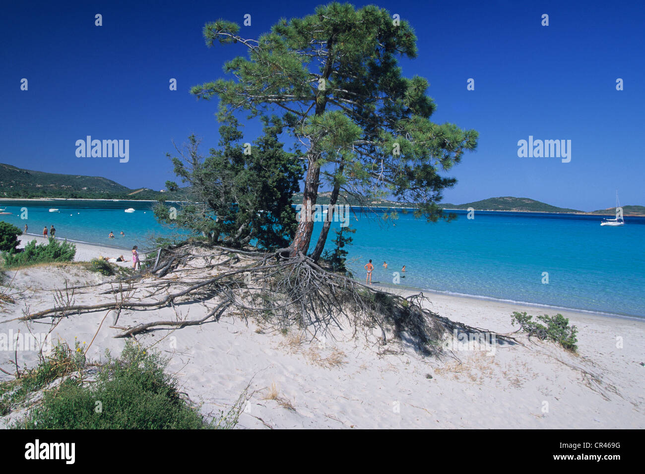 France, Corse du Sud, la baie de San Ciprianu Banque D'Images