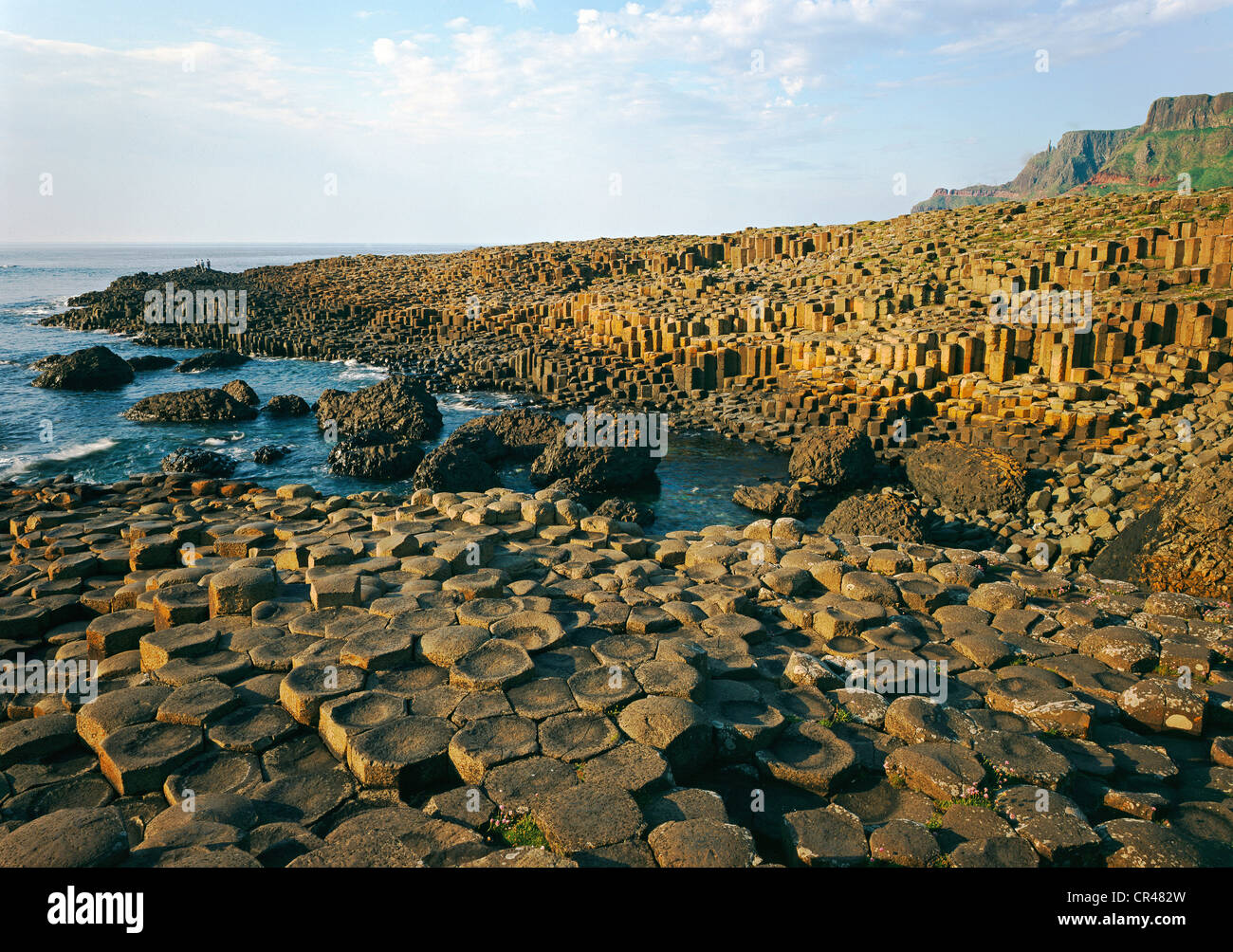 Giant's Causeway, comté d'Antrim, en Irlande du Nord, Royaume-Uni, Europe Banque D'Images