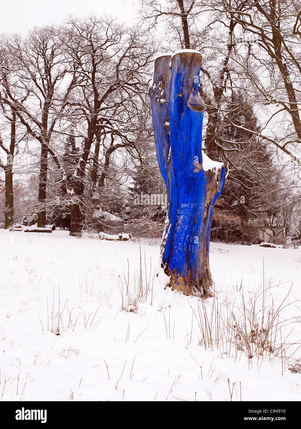 Teinture bleue arbre dans un parc couvert de neige comme un avertissement contre la destruction de l'environnement, Wiesbaden, Hesse, Germany, Europe Banque D'Images