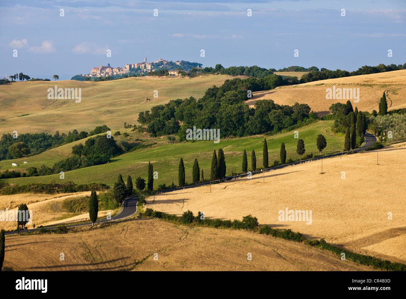 Italie, Toscane, Val d'Orcia, classé au Patrimoine Mondial de l'UNESCO zone Pienza Banque D'Images