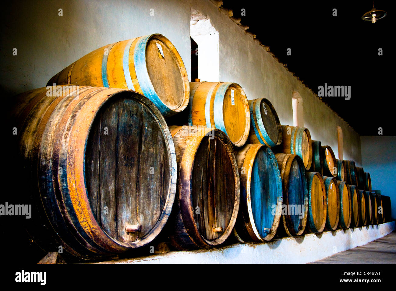 Des tonneaux de vin dans le musée du vin dans La Geria, où le vin est cultivé en pleine de cendres volcaniques, une production qui est unique dans le monde Banque D'Images