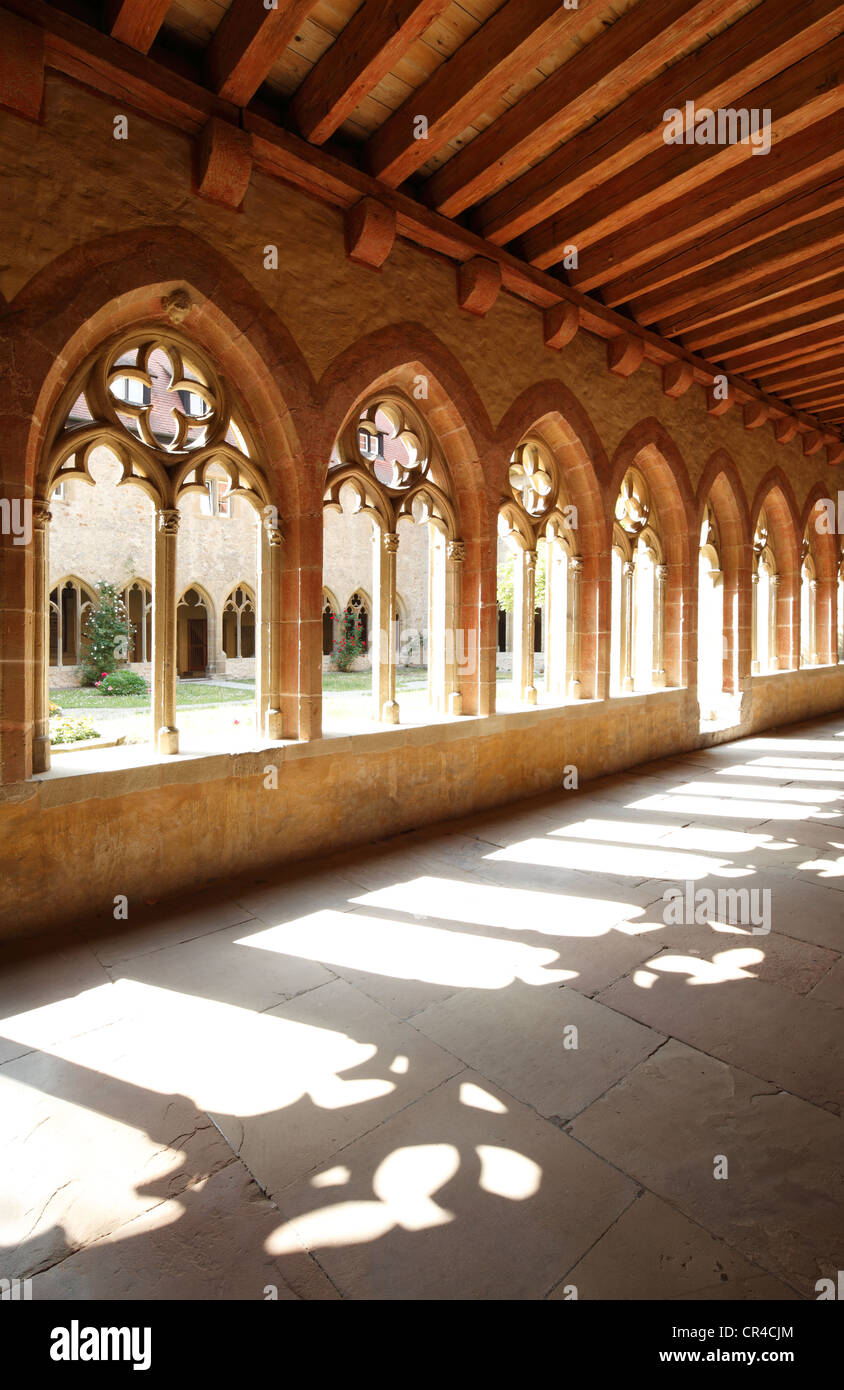 Église abbatiale gothique de Saint Pierre, une ancienne collégiale et l'église du monastère bénédictin de cloître, Gruessau Banque D'Images