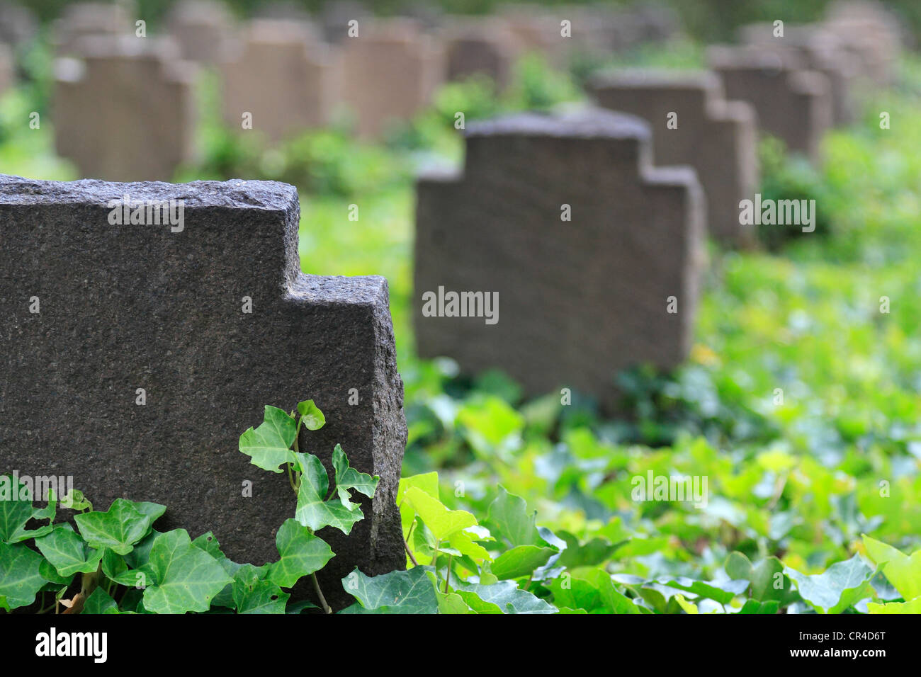 Cimetière militaire, Cimitero Militare, Brixen, Bressanone, Valle Isarco, Tyrol du Sud, Trentino-Alto Adige, Italie, Europe Banque D'Images