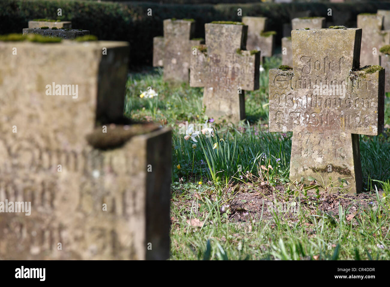 Tombes des soldats au cimetière Saint Nicolas, Schwaebisch Hall, Bade-Wurtemberg, Allemagne, Europe Banque D'Images