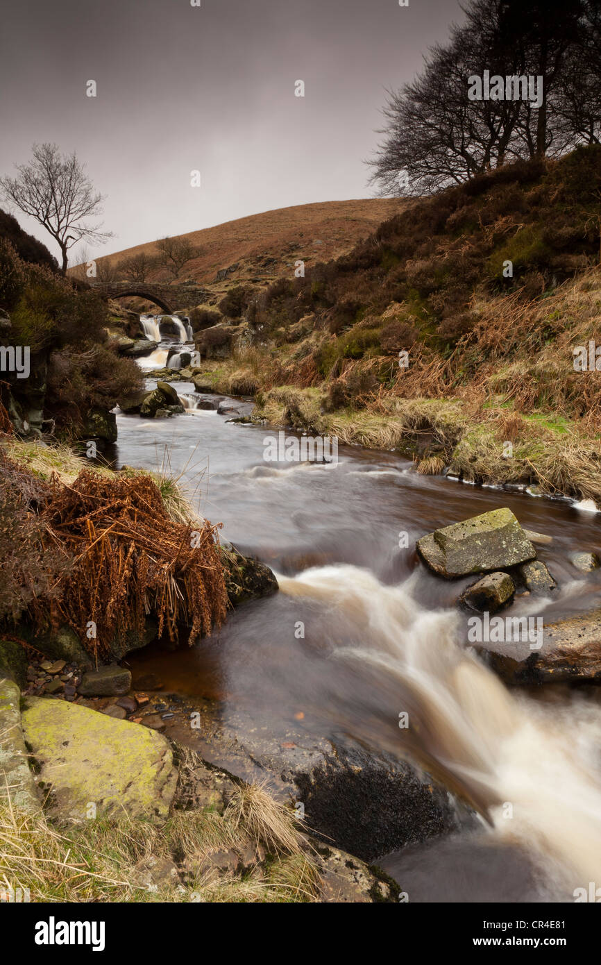 Un ancien pack horse bridge près de trois Shires Head, au Royaume-Uni, où les comtés de Derbyshire, Staffordshire et Cheshire rencontrez Banque D'Images