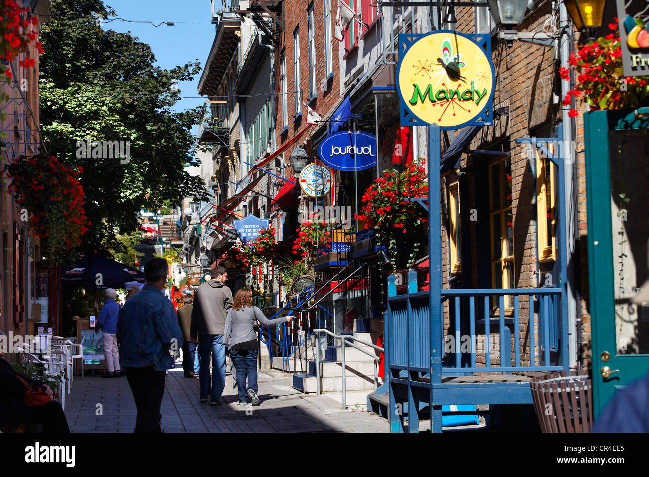Rue Petit Champlain, Québec, site du patrimoine mondial de l'Unesco, Québec, Canada Banque D'Images