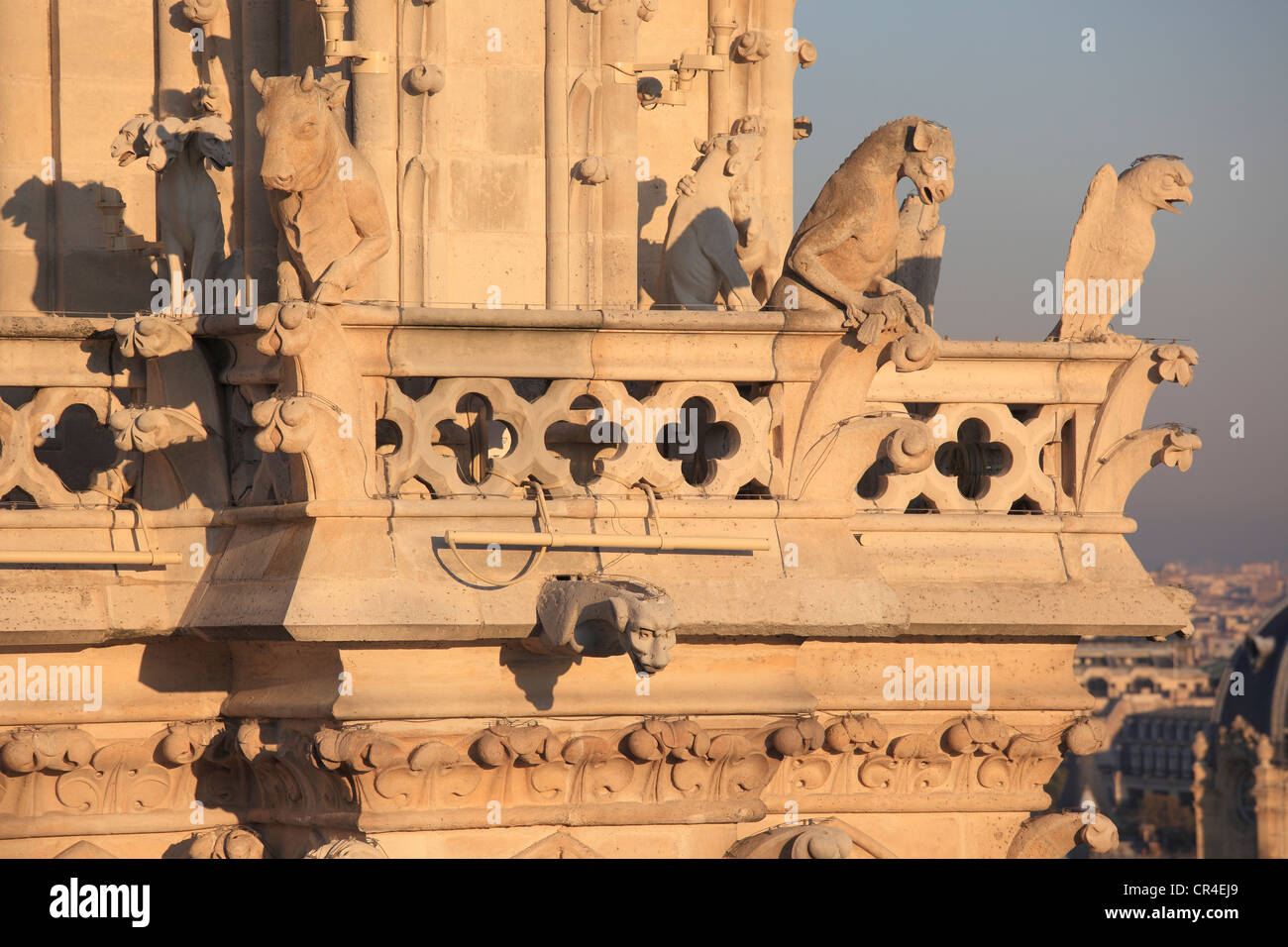 France, Paris, Ile de la Cité, Notre Dame de Paris, les gargouilles sur les chimères hall Banque D'Images