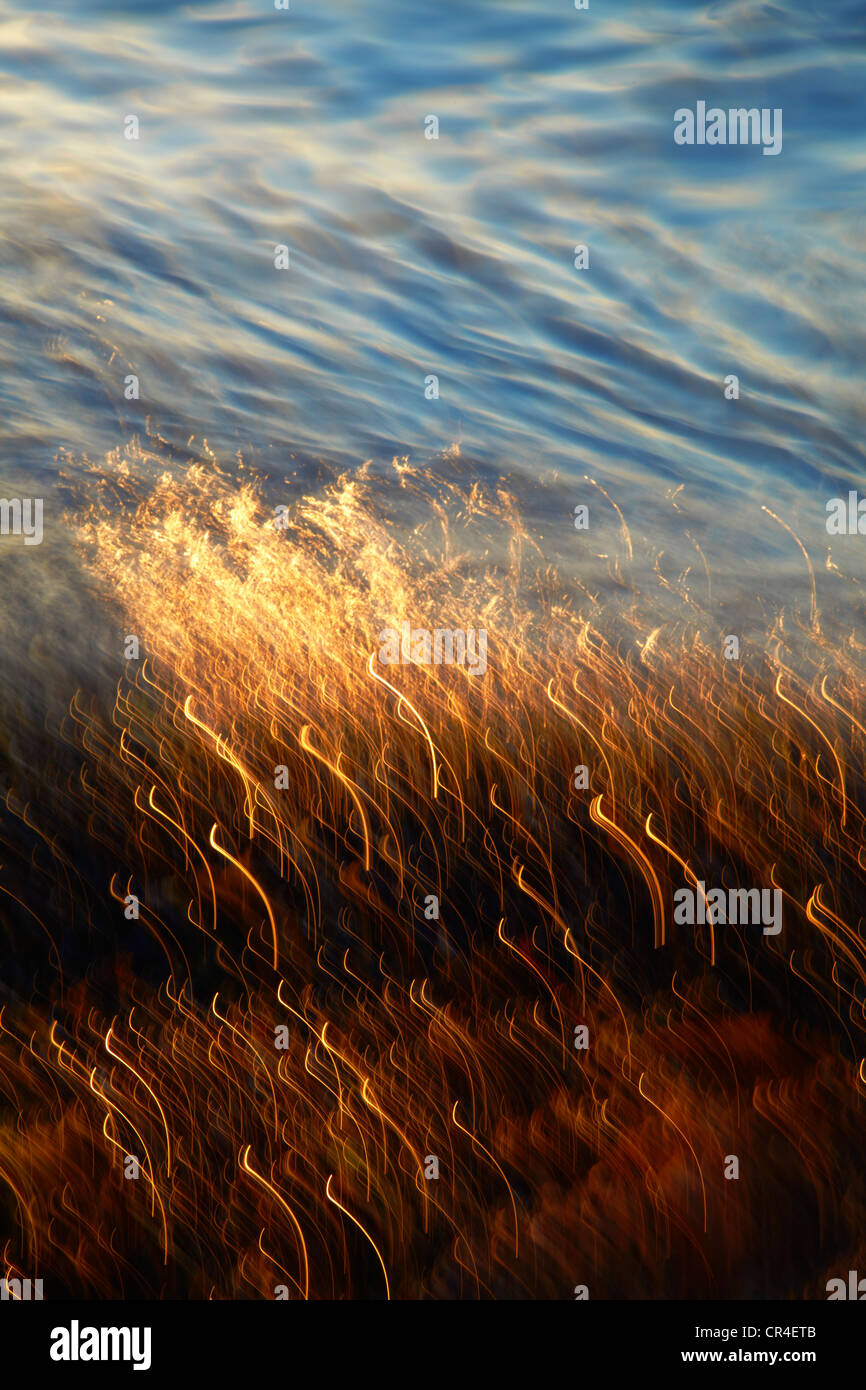 L'eau en mouvement sur la plage au crépuscule avec des reflets de nuages Banque D'Images