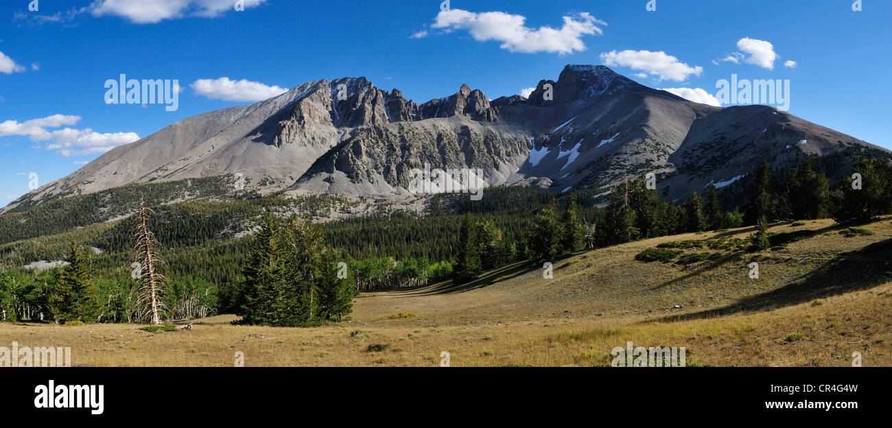 Mont Wheeler, Parc National du Grand Bassin, Nevada, USA, Amérique du Nord Banque D'Images