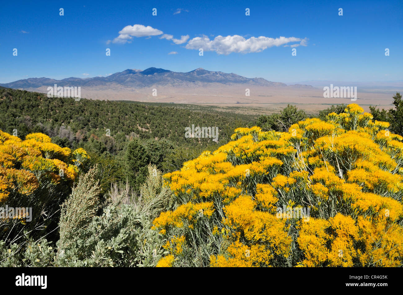 Le mont Moriah vu depuis le Parc National du Grand Bassin, Nevada, USA, Amérique du Nord Banque D'Images