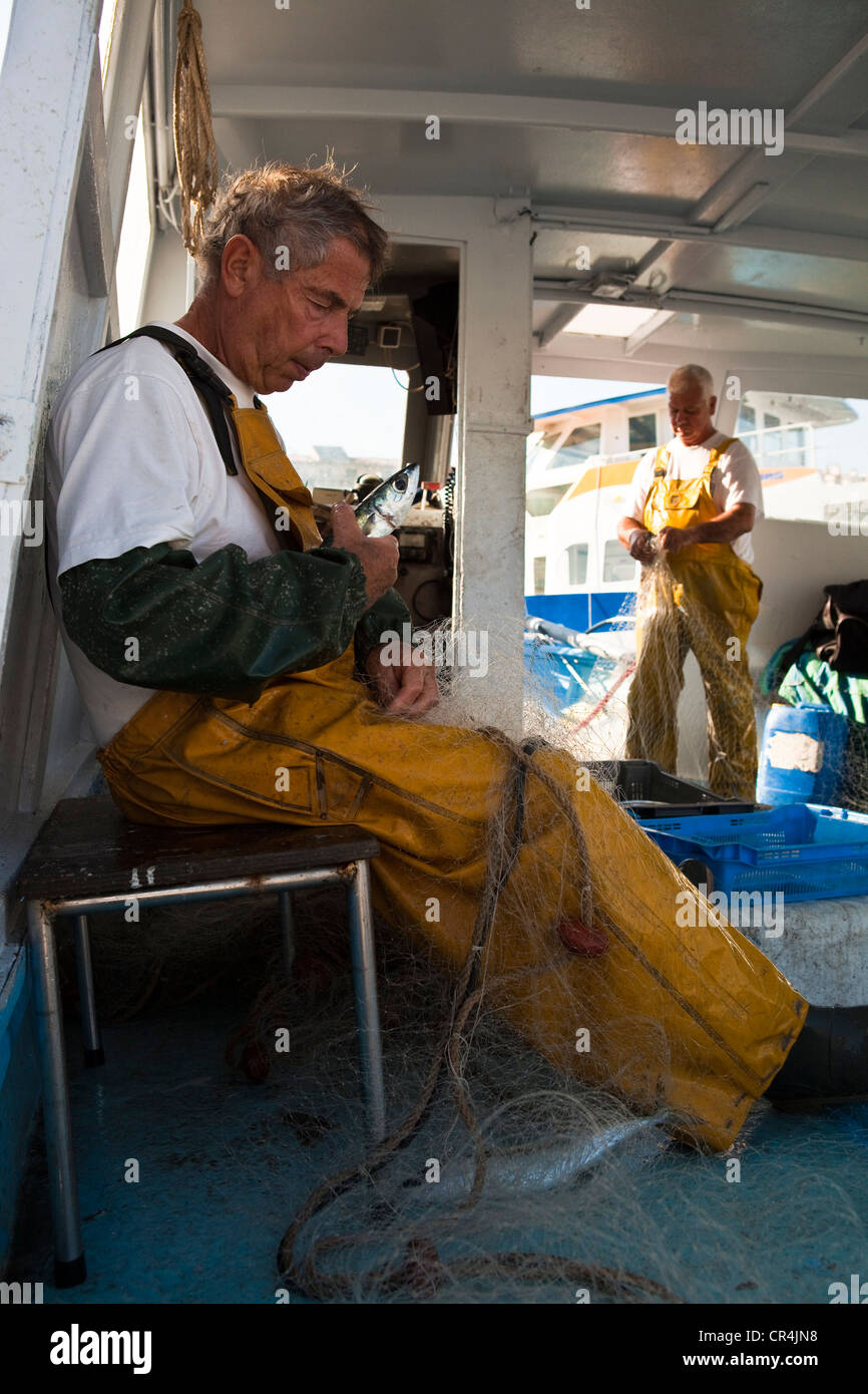 France, Bouches-du-Rhône, Marseille, Vieux port), les pêcheurs de recueillir les poissons de leurs filets Banque D'Images