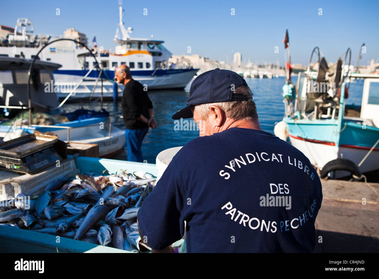 France, Bouches du Rhône, Marseille, capitale européenne de la culture 2013, vieux port), le marché aux poissons Banque D'Images