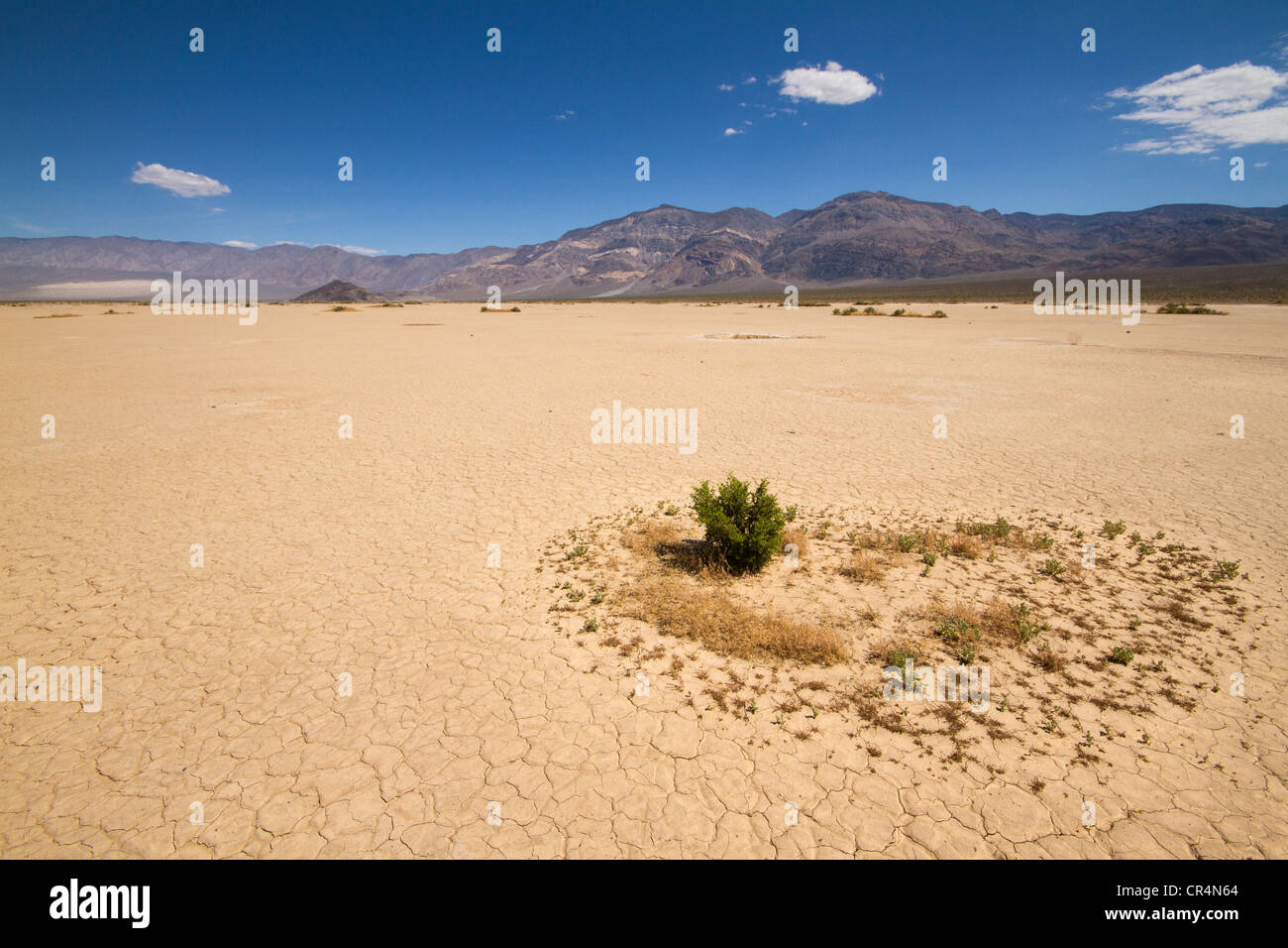 La boue fissuré dans un lit de lac séché dans Death Valley National Park en Californie, USA Banque D'Images