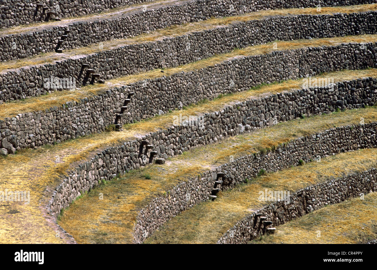 L'expérience agricole Inca de Moray, site. Département de Cuzco, Pérou. Banque D'Images