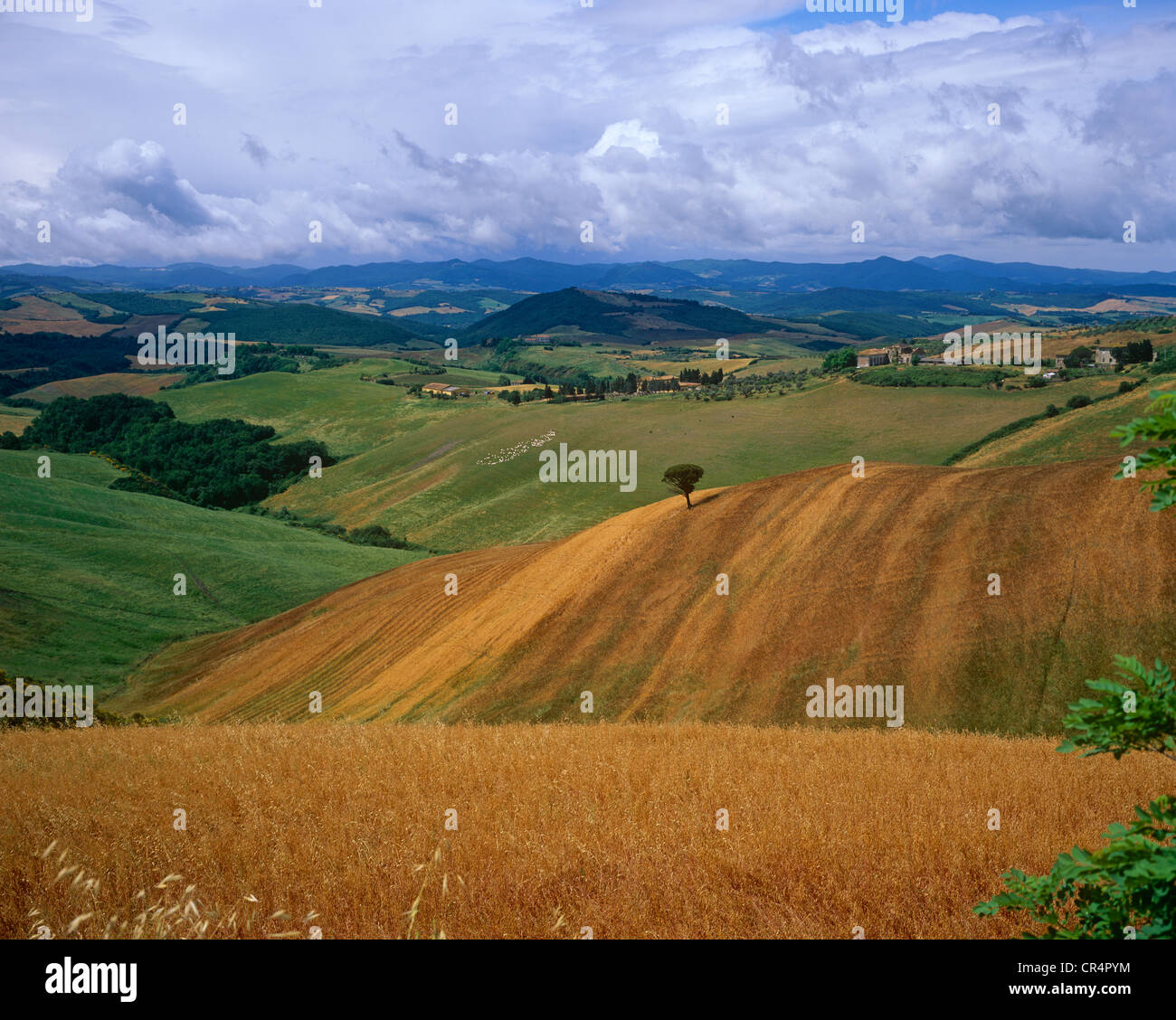 Vue de la route vers Volterra Toscane Italie Banque D'Images