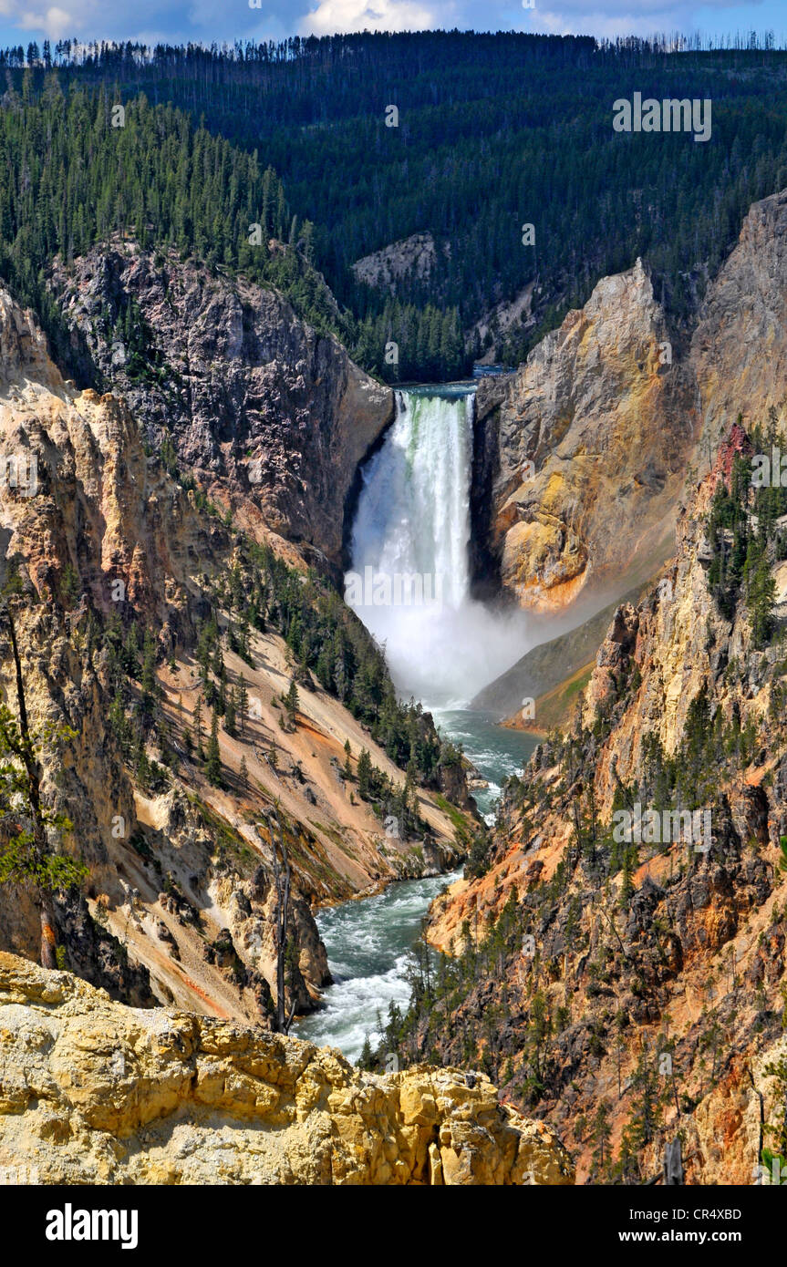 Lower Falls Parc national de la rivière Yellowstone, Wyoming WY United States Banque D'Images