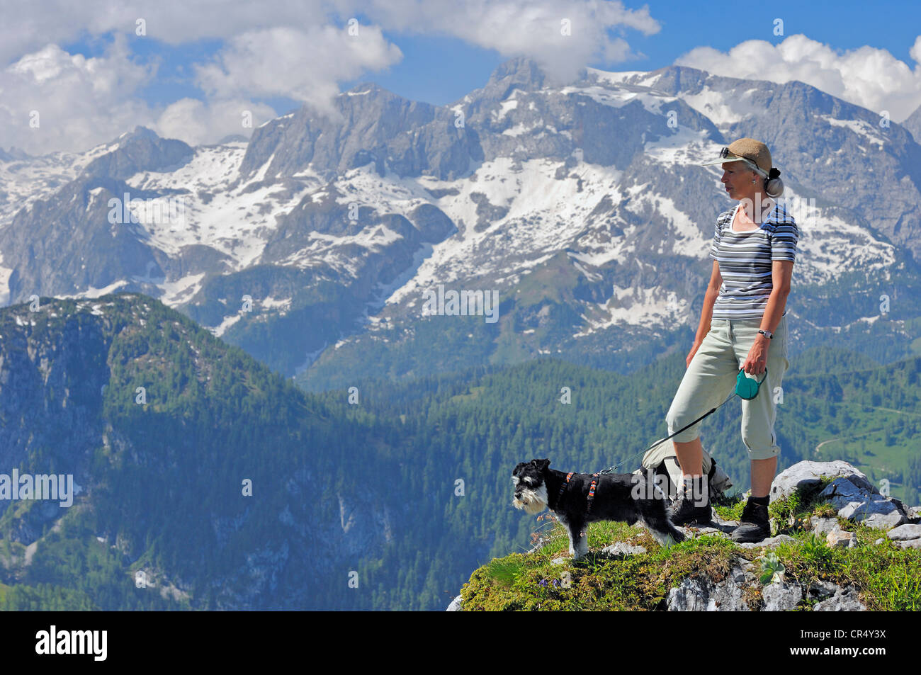 Femme Avec Un Schnauzer Nain Noir Et Argent Sur Le Sommet