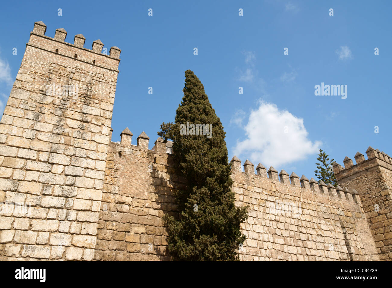 Reales (Alcazarares Alcazars royaux) de Séville. Détail des murs de défense. Banque D'Images