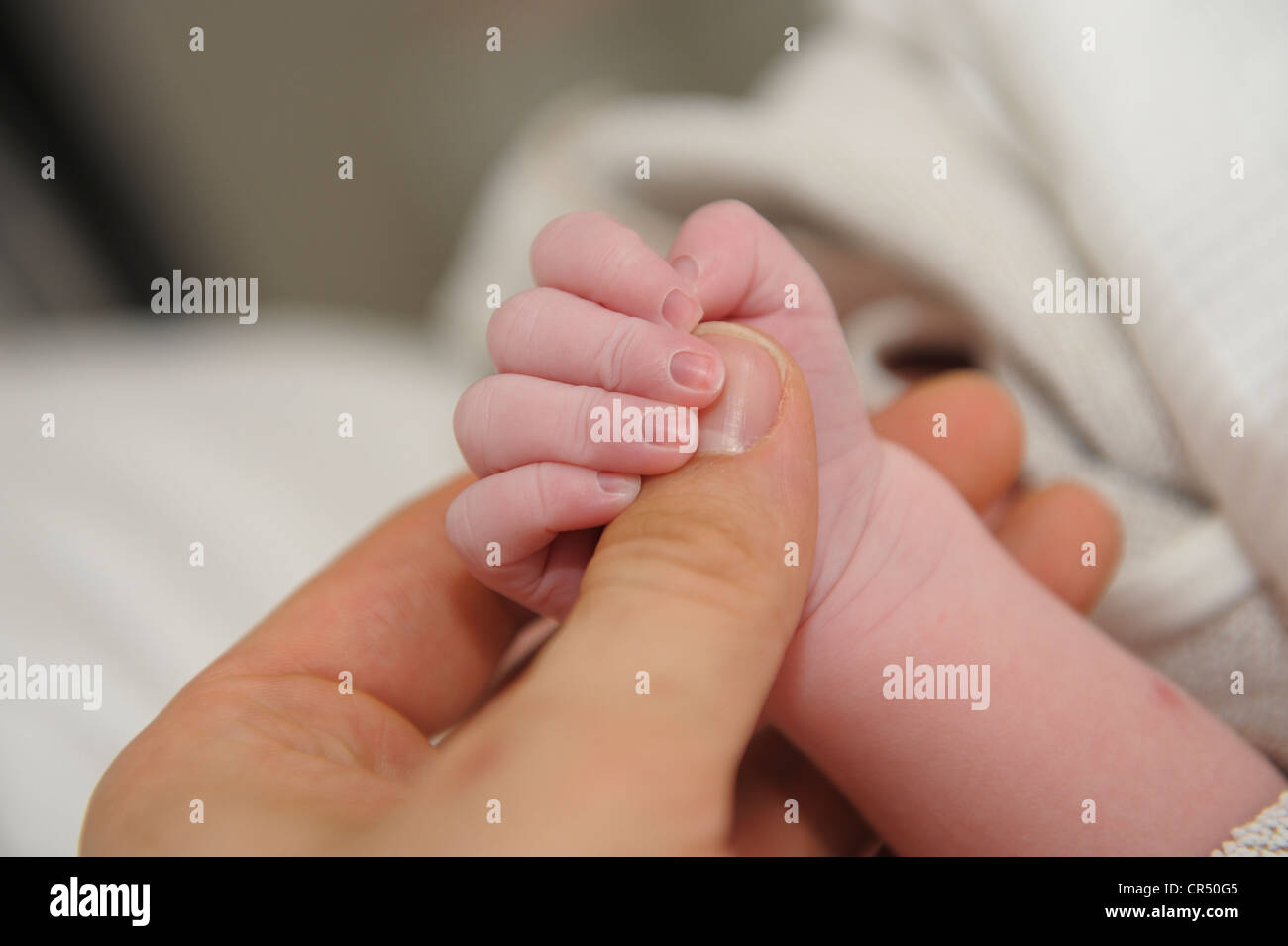 Main D Un Bebe Nouveau Ne Peu Apres La Naissance A La Main Photo Stock Alamy Main D Un Bebe Nouveau Ne Peu Apres La Naissance A La Main Photo Stock Alamy