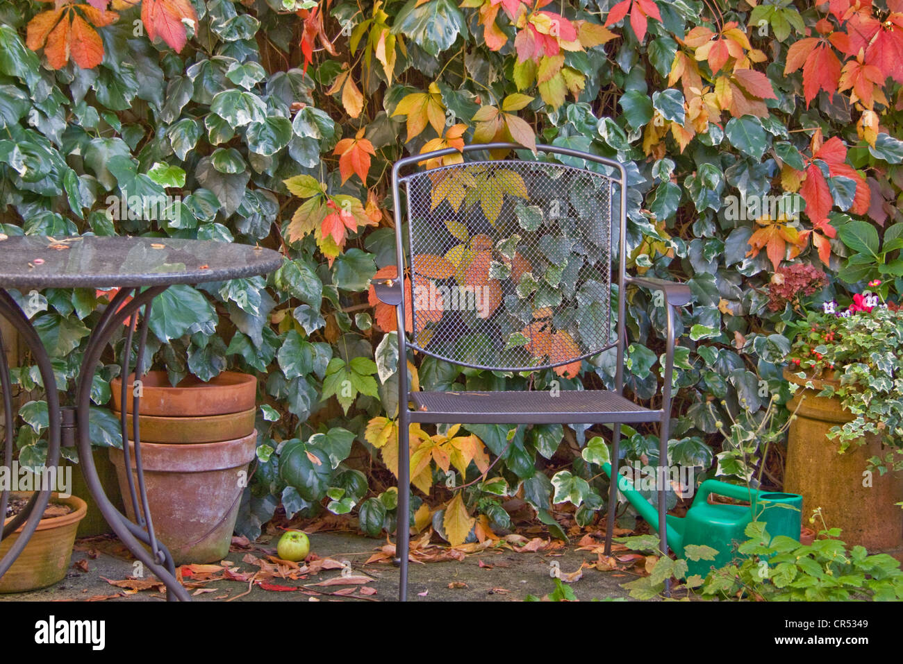 Un coin tranquille d'un jardin de banlieue avec les feuilles tournent vers la couleur en automne Banque D'Images