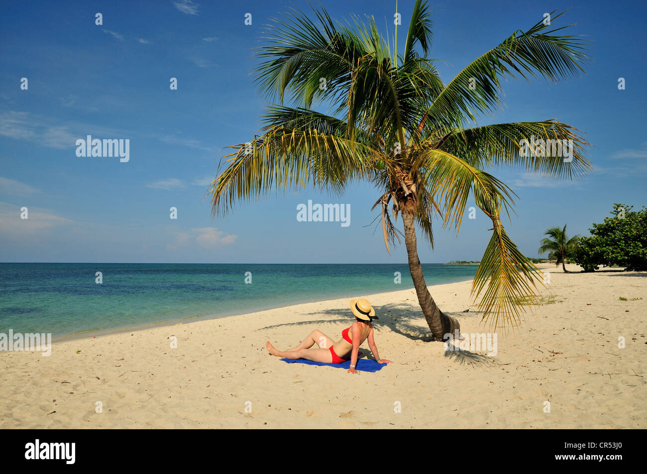 En vertu de l'un palmier sur la plage, Playa Ancon beach, près de Trinidad, Cuba, Caraïbes Banque D'Images