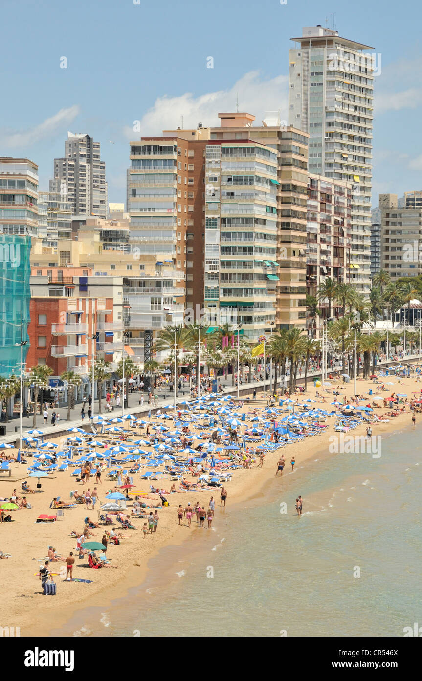 Les bâtiments de grande hauteur sur la plage de Playa Levante, Benidorm, Costa Blanca, Alicante, Espagne, Europe Banque D'Images