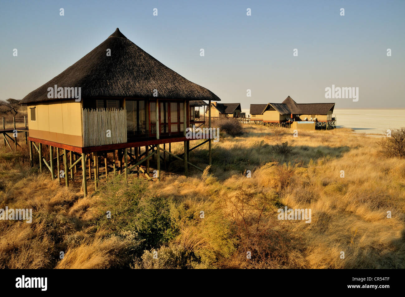 Chalets de luxe de l'Onkoshi Camp à l'Etosha, Etosha National Park, Namibie, Afrique Banque D'Images