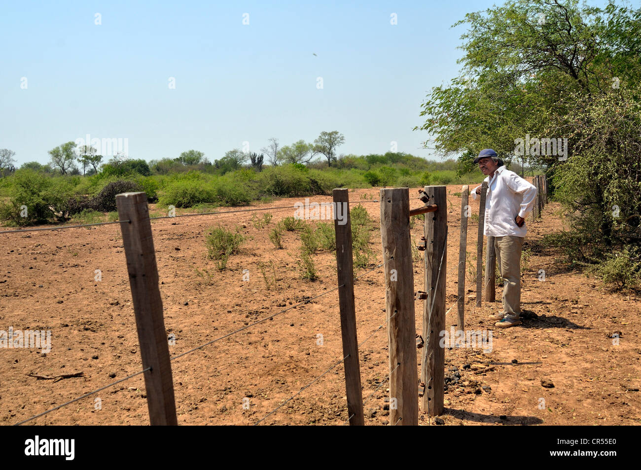 L'accaparement de terres, les grands propriétaires fonciers ont clôturé la terre qu'une fois constitué l'habitat de la tribu des Indiens Wichi, le Banque D'Images
