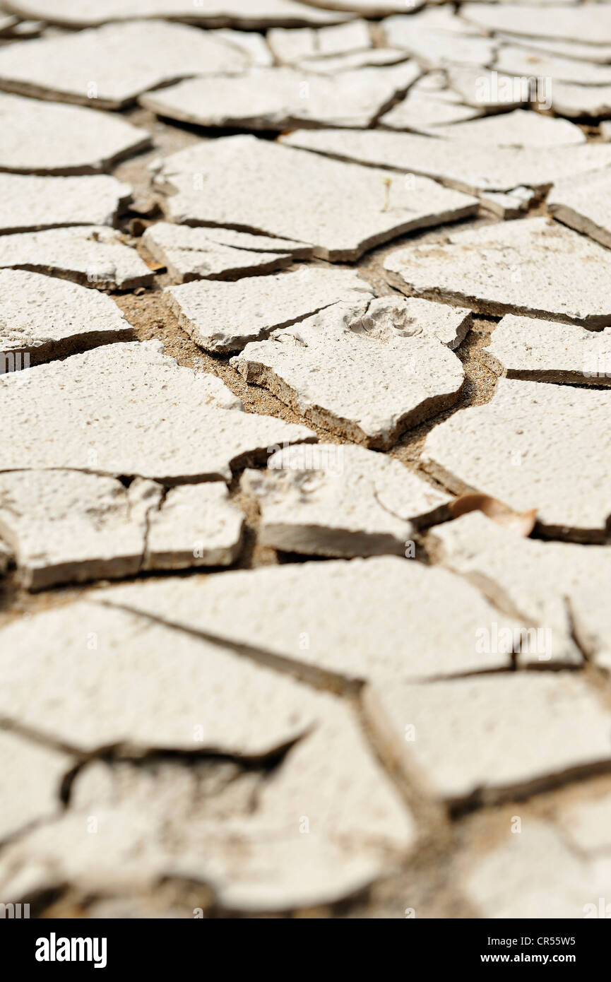 La boue sèche, craquelée, image symbolique pour le changement climatique Banque D'Images
