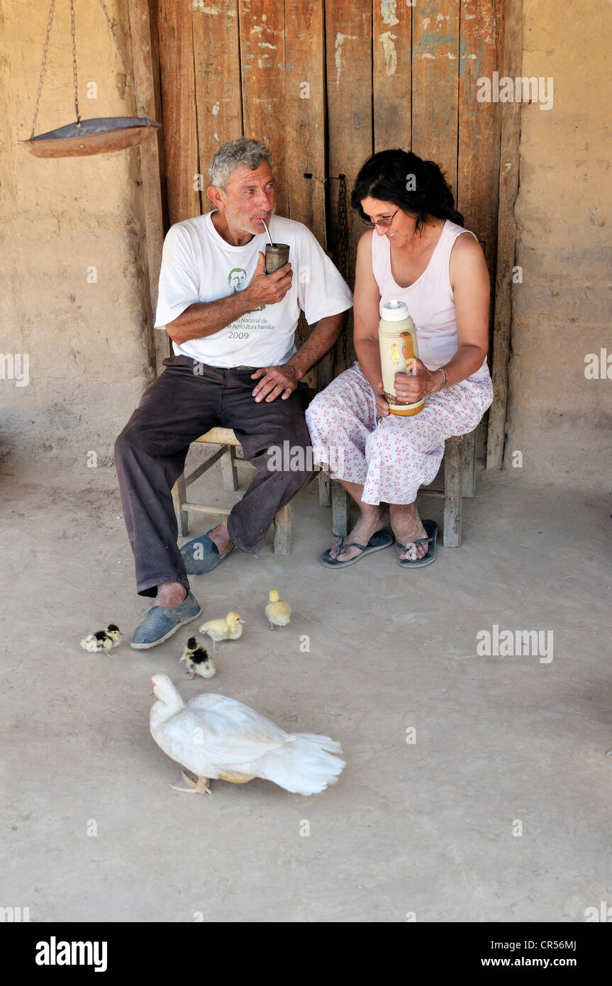 Potable agriculteurs Mate, la boisson nationale de l'Argentine, en face d'une maison, Puesto La Guascha, Gran Chaco, Salta, Argentine Banque D'Images