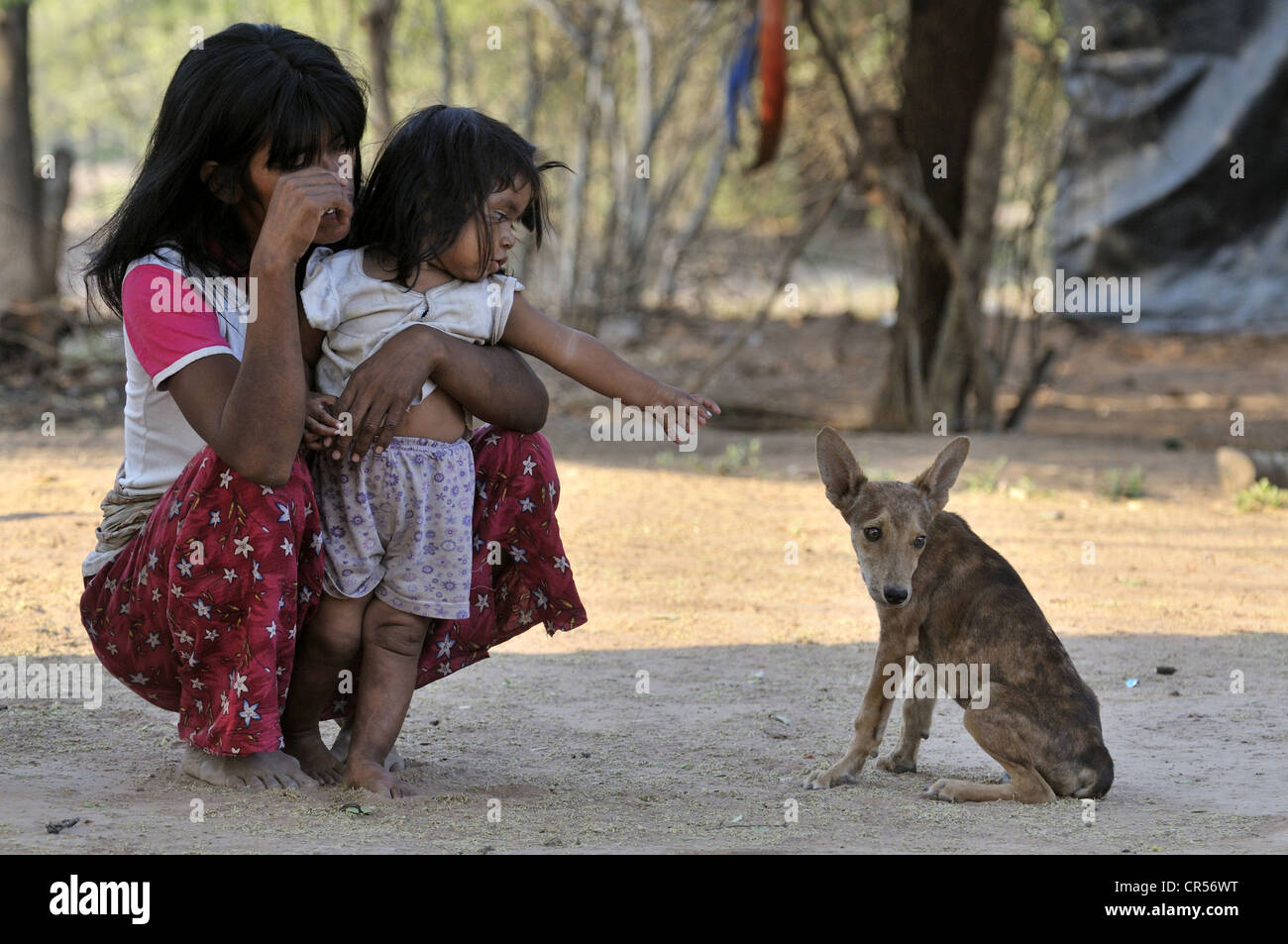 Les Mère et Enfant avec Chien, communauté autochtone de Zapota, Gran Chaco, Salta, Argentine, Amérique du Sud Banque D'Images