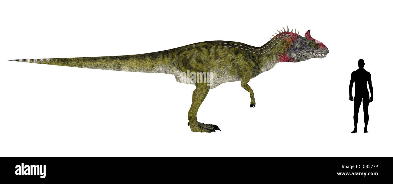 Illustration d'une comparaison de la taille d'un adulte Cryolophosaurus avec une moyenne des adultes de sexe masculin (1,8 mètres) Banque D'Images