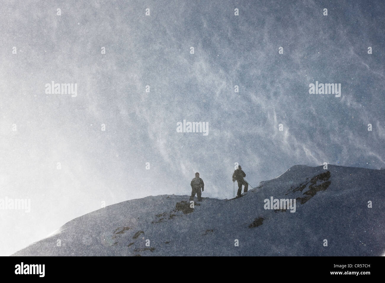 Freeride dans une zone avec de la neige profonde, pendant une tempête, glacier de Stubai, Tyrol du Nord, l'Autriche, Europe Banque D'Images
