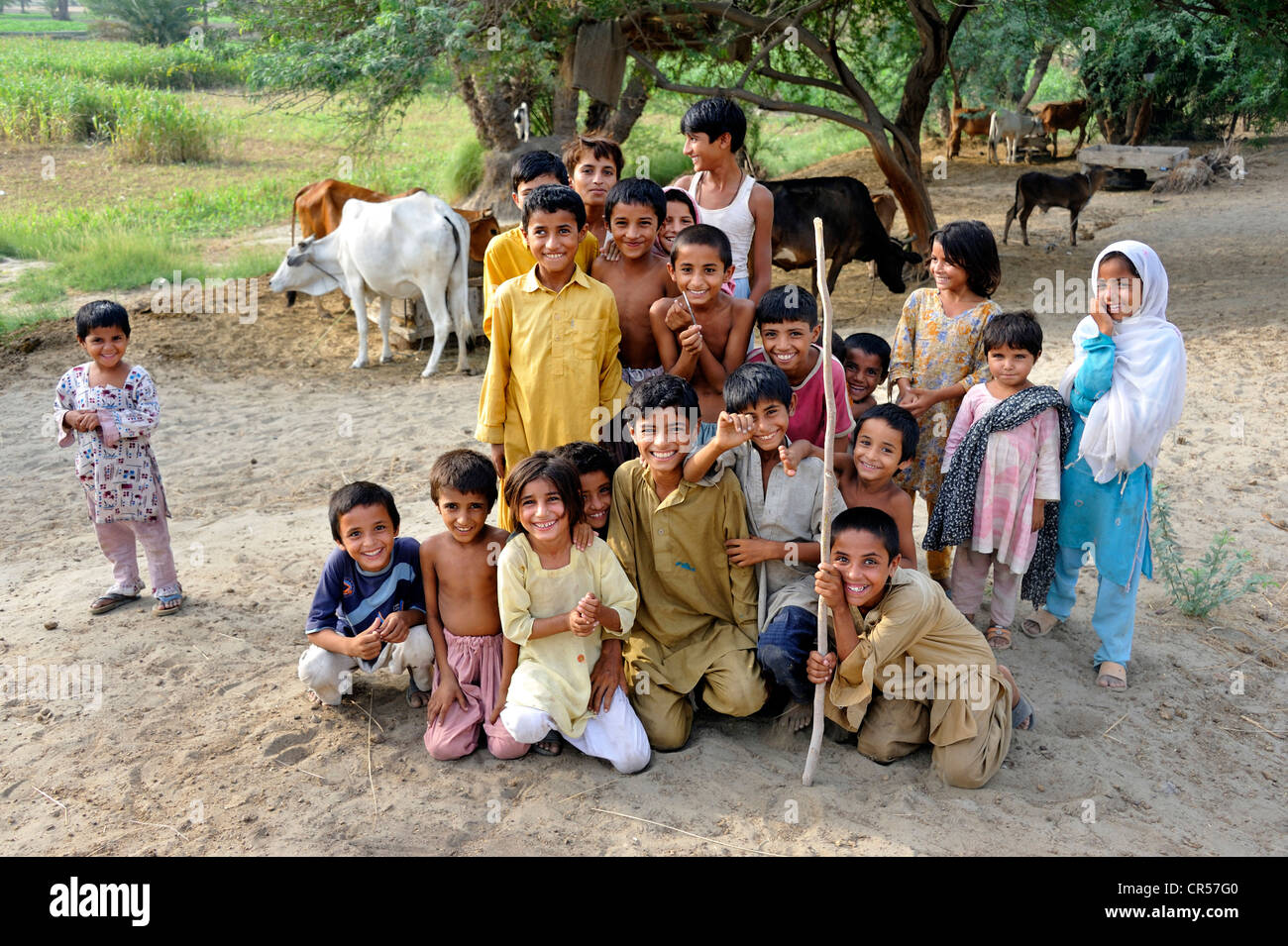 Les enfants dans le village de Motsa Sabgogat Muzaffaragarh, près de Punjab, Pakistan, Asie Banque D'Images