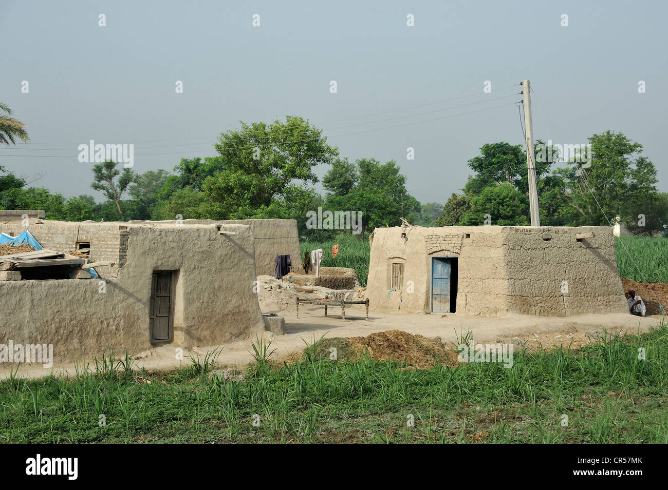 Village traditionnel avec des maisons en pisé, Lashari Wala village, Punjab, Pakistan, Asie Banque D'Images