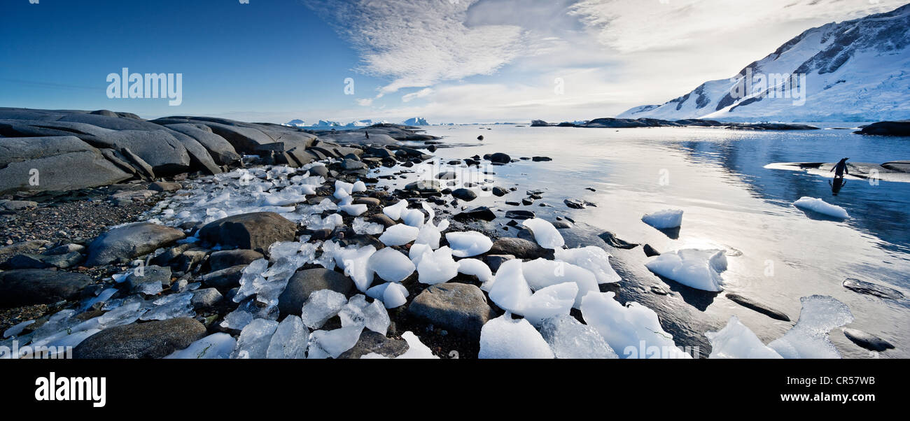 La glace et rochers, Région de l'Antarctique, l'Antarctique Banque D'Images