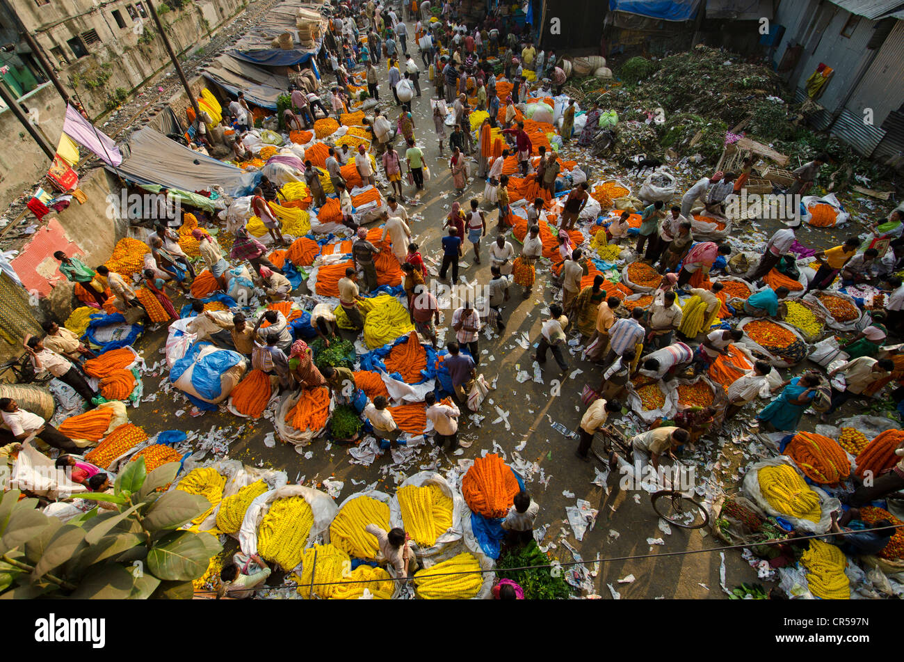 Marché aux Fleurs de Kolkata, Bengale occidental, Inde, Asie Banque D'Images